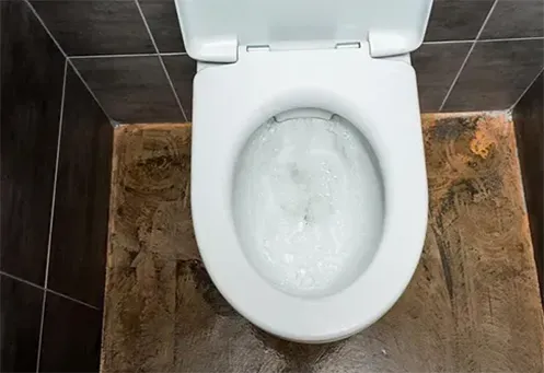 Desentupimento de Vaso Sanitário Urgente