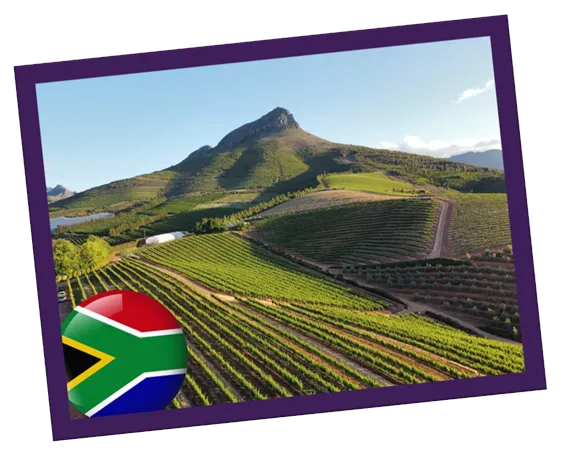 Vinhos da África do Sul