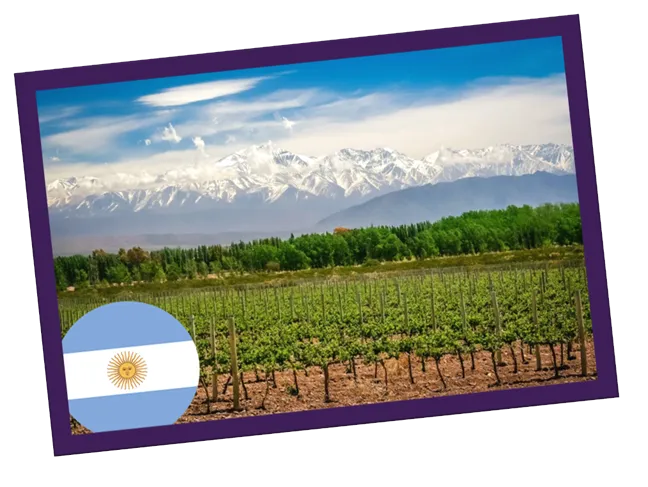 Vinhos da Argentina