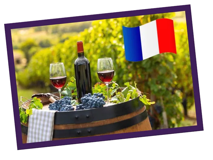 Vinhos da França
