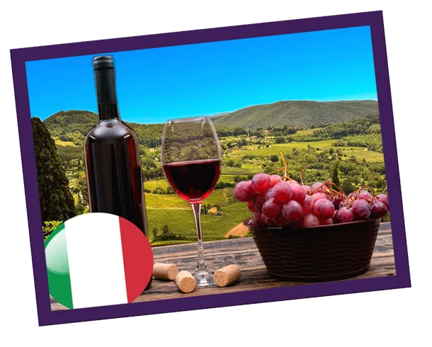 Vinhos da Itália