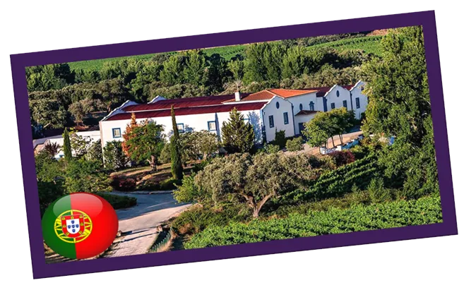 Vinhos de Portugal