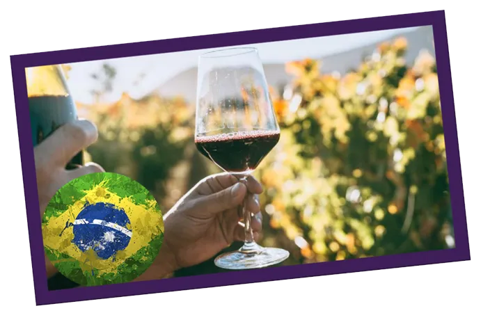 Vinhos do Brasil