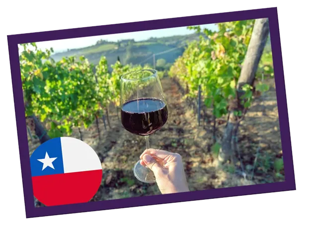 Vinhos do Chile