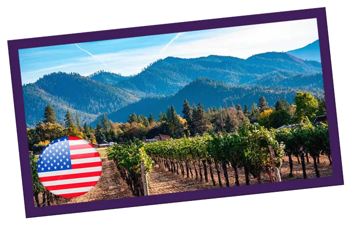 Vinhos dos Estados Unidos