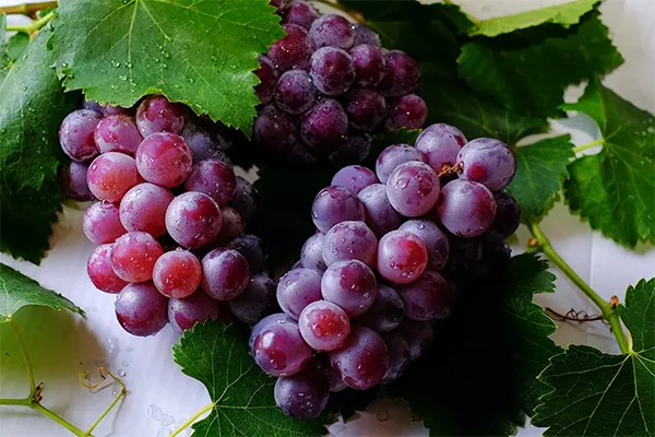 Uva Pinot Noir