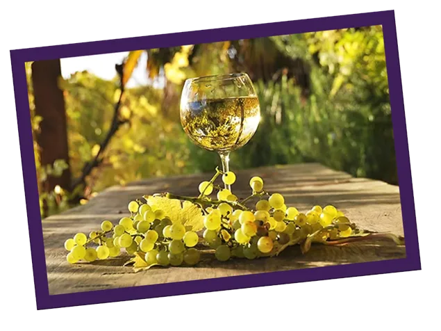 Vinho Branco