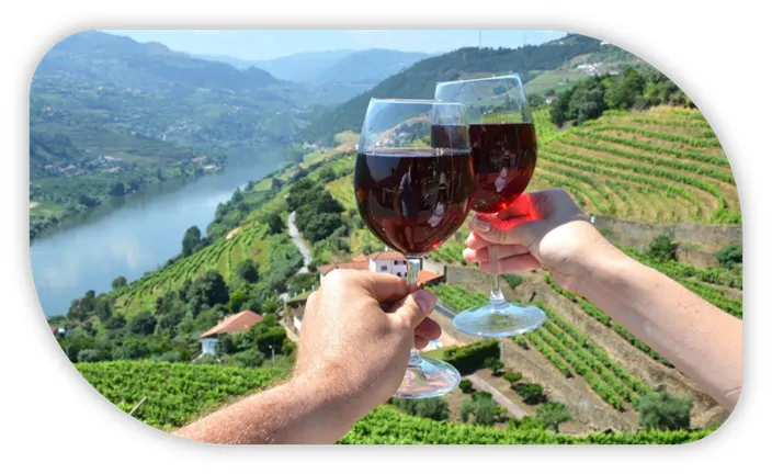 Vinhos por Países