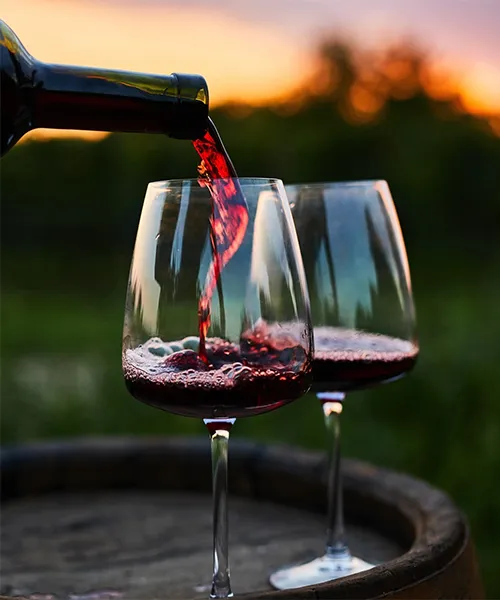 Vinhos Tinto